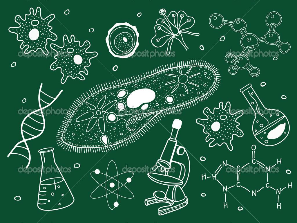 Nature：科学家找到杀死抗药细菌的新靶点