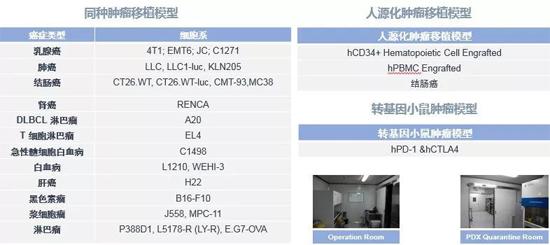 尊龙凯时人生就博官网登录,ag尊龙凯时，尊龙凯时药效学动物模型