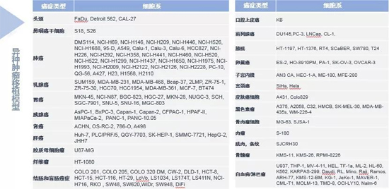 尊龙凯时人生就博官网登录,ag尊龙凯时，尊龙凯时药效学动物模型