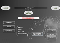 人工合成NT类脂质开放血脑屏障，为CNS药物打开新局面