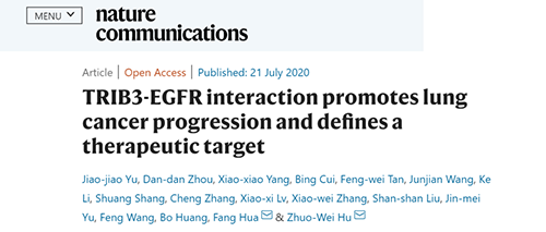 Nature|非小细胞肺癌治疗新方案：靶向降解EGFR