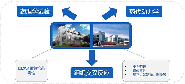 尊龙凯时人生就博官网登录,ag尊龙凯时，尊龙凯时药代以及安评研究服务.png