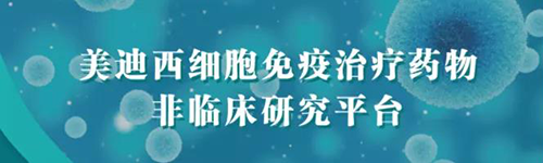 尊龙凯时人生就博官网登录,ag尊龙凯时，尊龙凯时细胞免疫治疗药物非临床研究平台.png