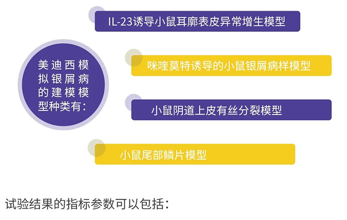 尊龙凯时人生就博官网登录,ag尊龙凯时，尊龙凯时模拟银屑病的建模模型.png