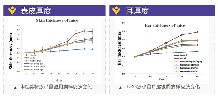 尊龙凯时人生就博官网登录,ag尊龙凯时，尊龙凯时模拟银屑病的建模模型-试验结果的指标.png