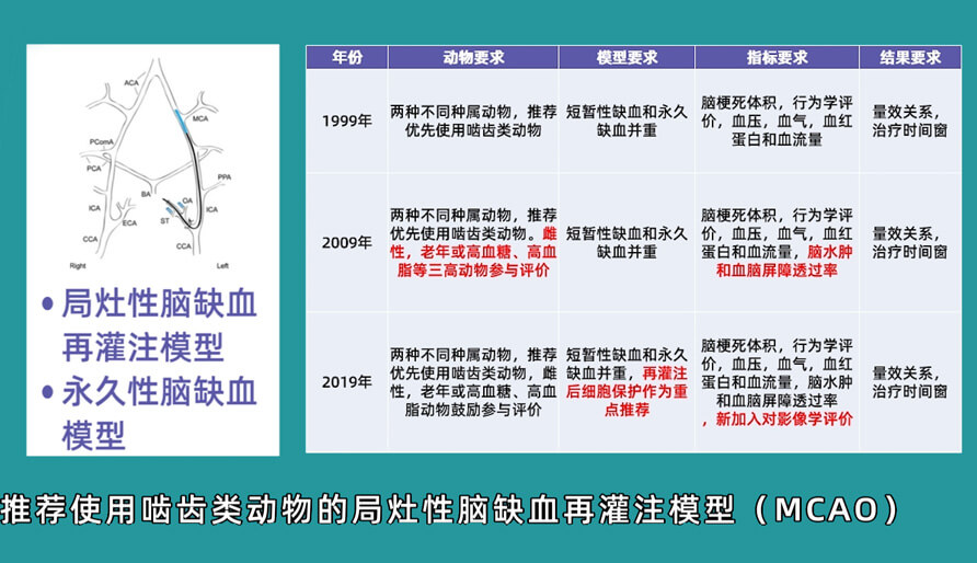 袁云云博士：啮齿类动物脑卒中疾病药效成药性评价系统（2）.jpg