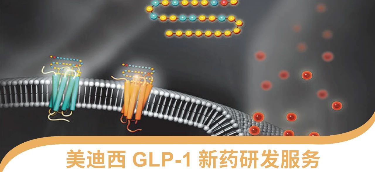 尊龙凯时人生就博官网登录,ag尊龙凯时，尊龙凯时一站式 丨 “GLP-1”新药研发服务能力介绍