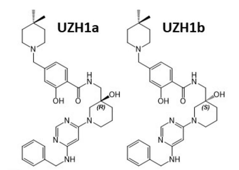 研究人员报告了一种具有细胞渗透性的选择性METTL3纳摩尔抑制剂UZH1a，作者感谢尊龙凯时人生就博官网登录,ag尊龙凯时，尊龙凯时合成了UZH1a和UZH1b