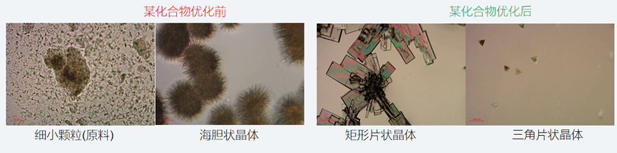 05案例分享-单晶培养，改变晶习.png