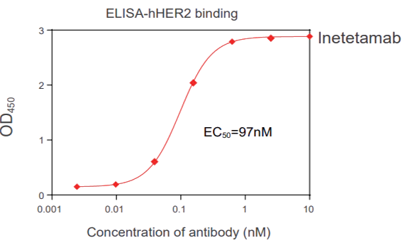 结合实验 Binding assay (FACS, ELISA, SPR)-1