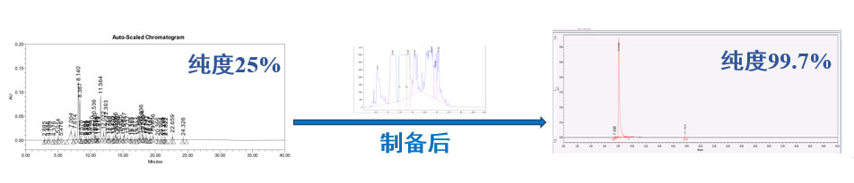 案例一：仿制药发补：大极性杂质制备.jpg